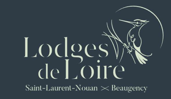 Lodge De Loire - B & B Proche Chambord Saint-Laurent-Nouan 外观 照片