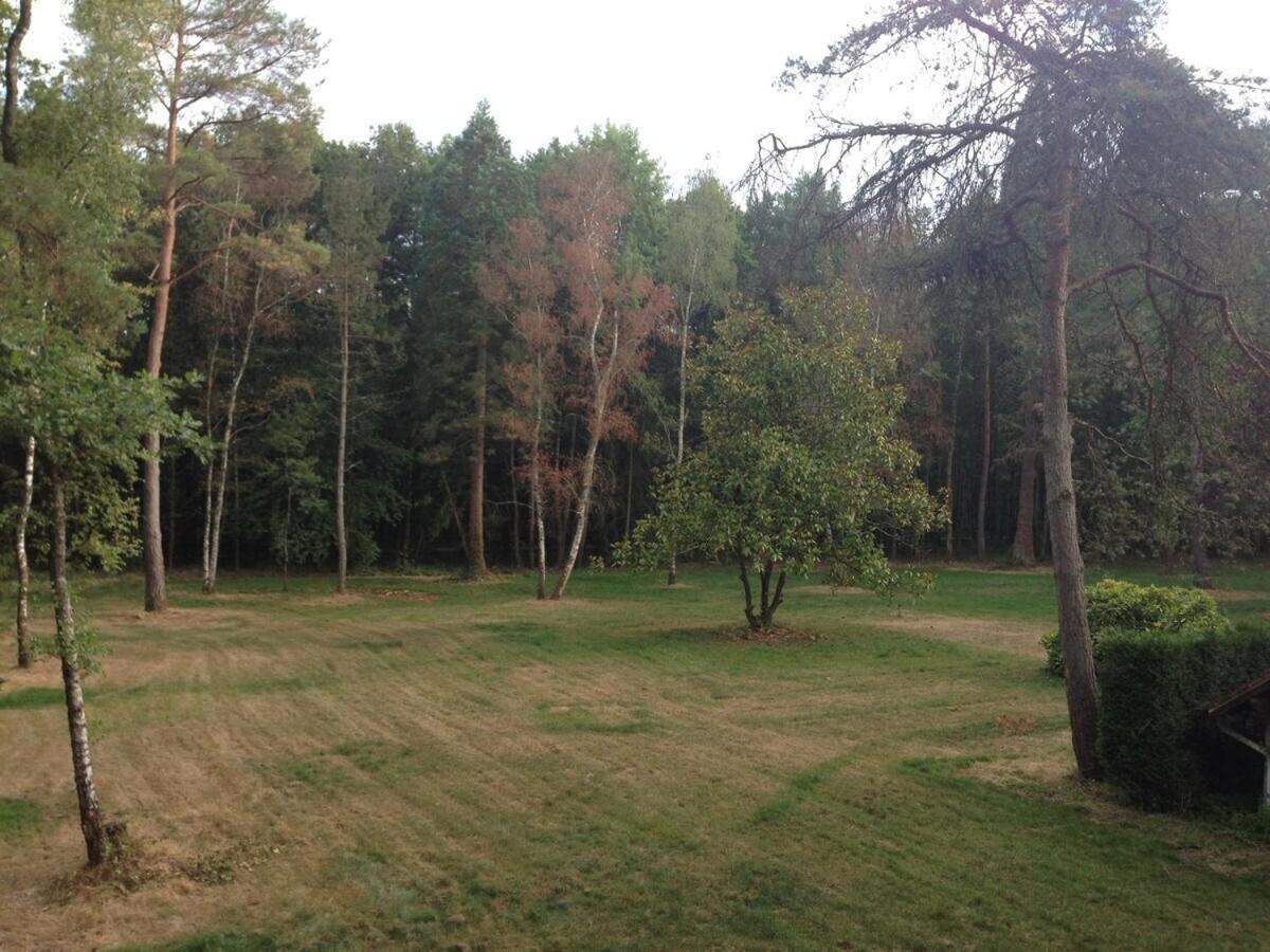 Lodge De Loire - B & B Proche Chambord Saint-Laurent-Nouan 外观 照片